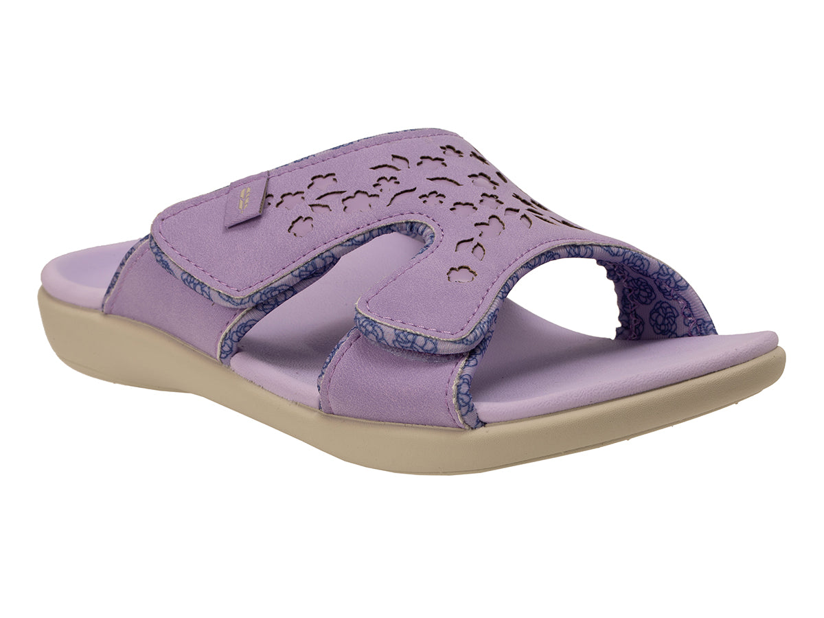 Kholo Chantilly
