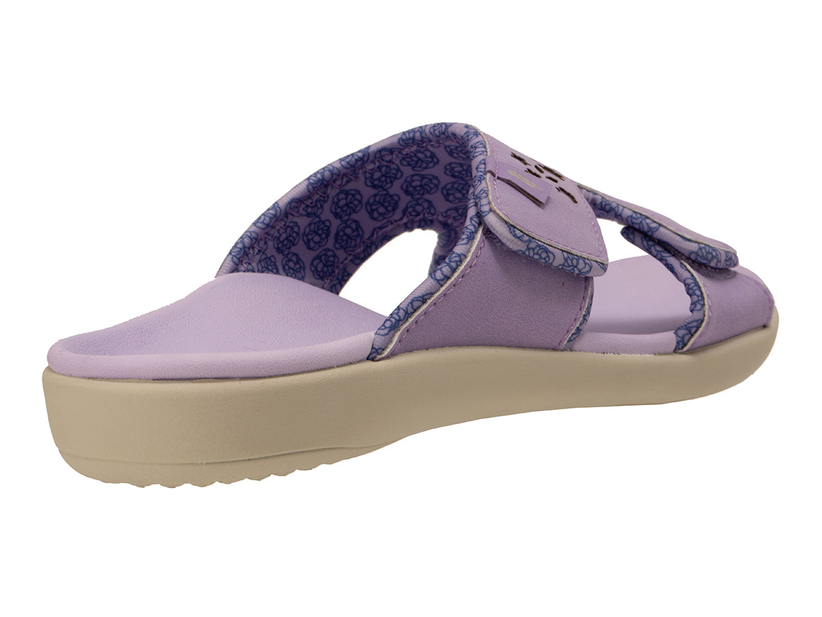 Kholo Chantilly
